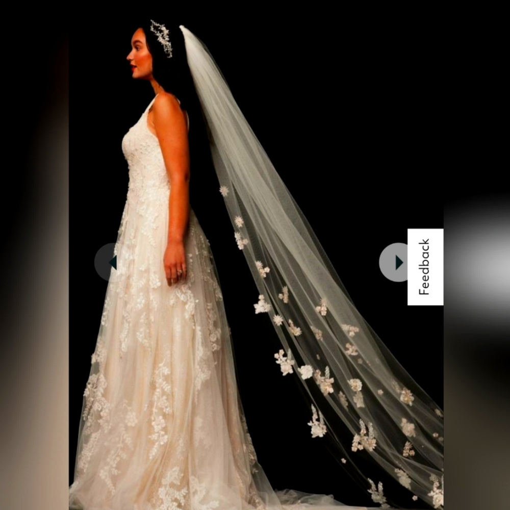 NWT Cathedral Veil Blush and White